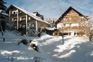 Hotel Berghof Willingen  Eksteriør billede